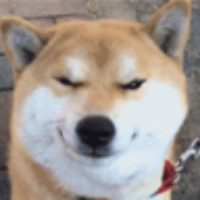 林子胜's avatar